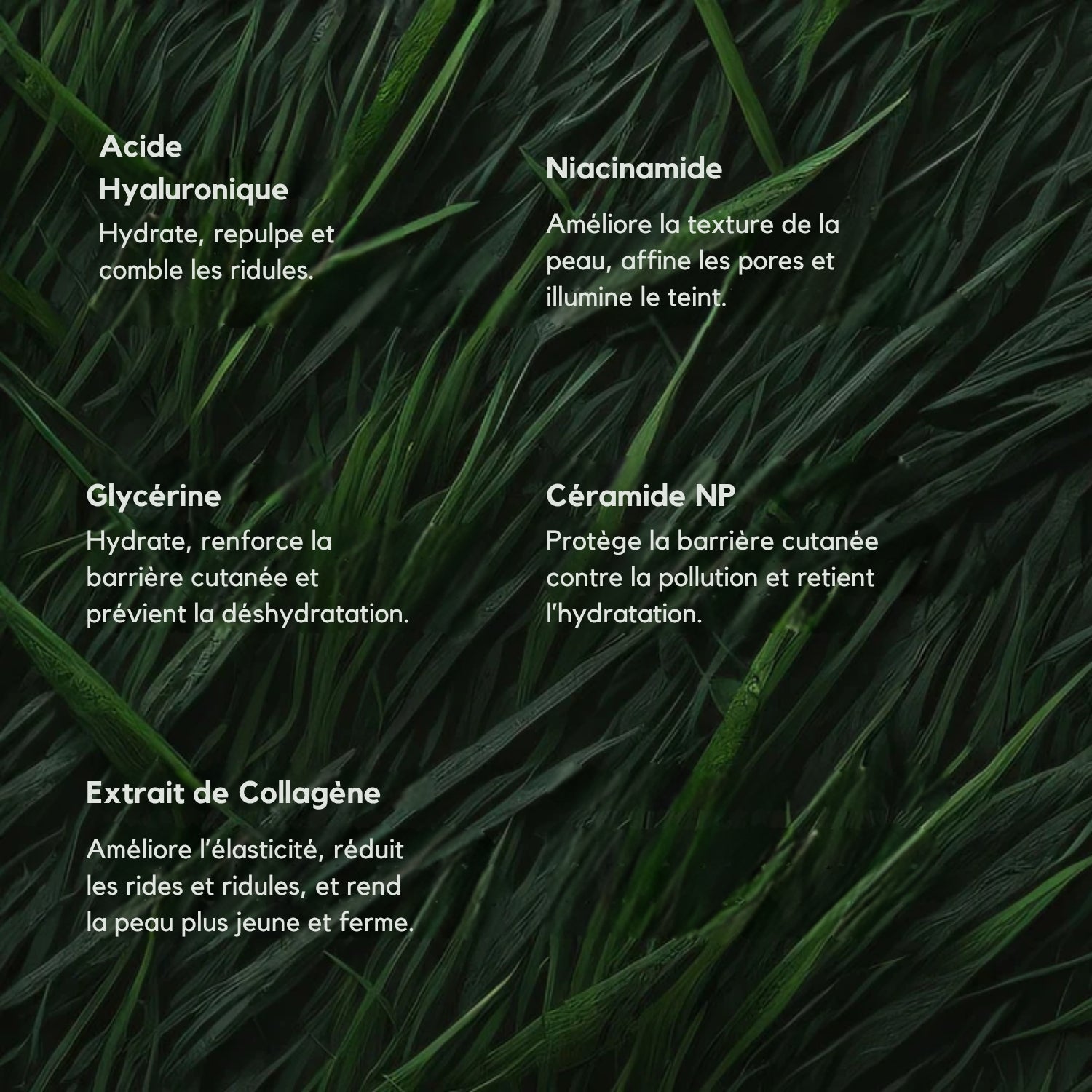 Nuvare Collagen Night Mask