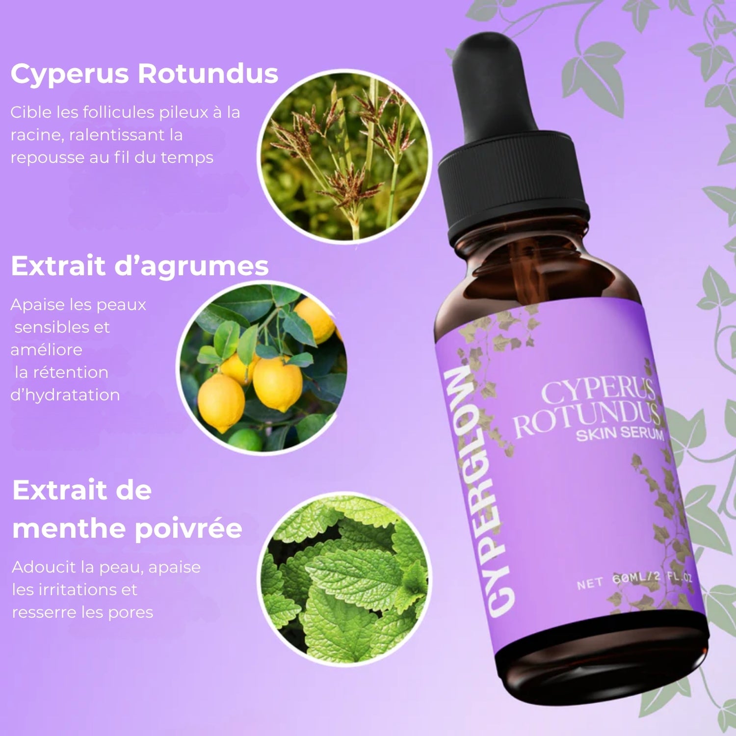 Nuvare | Cypherus Rotundus Skin Serum